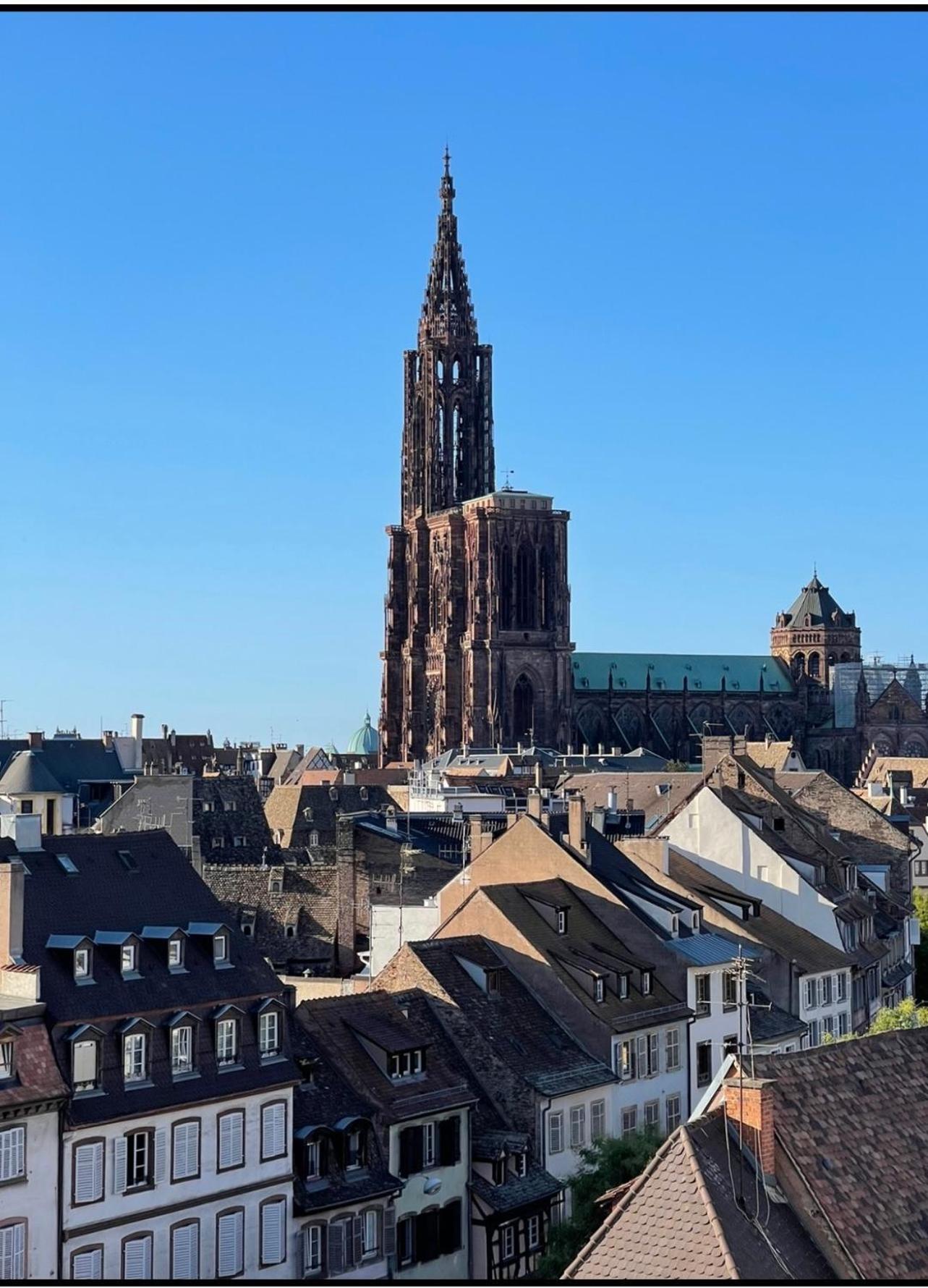 Apartmán La Rose Štrasburk Exteriér fotografie